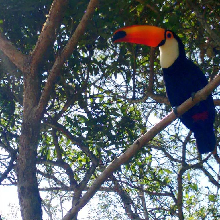 Pousada Tucano Do Cuiabá Itaipava Exteriér fotografie